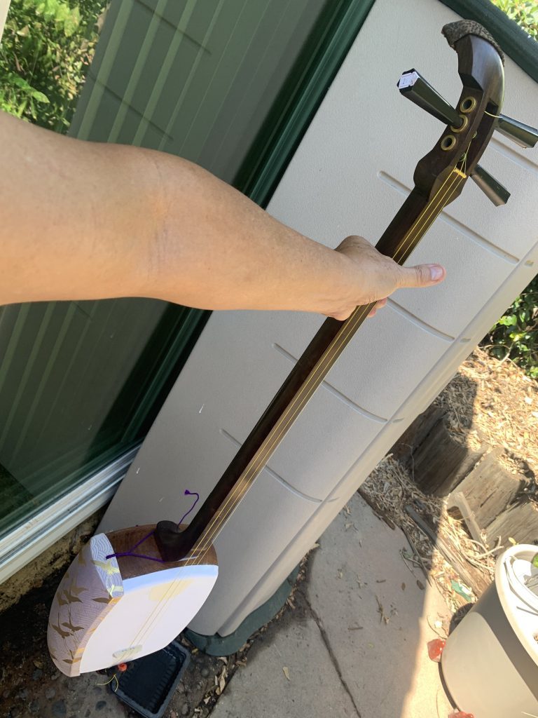 Newly repaired futosao samisen from SF wide shot